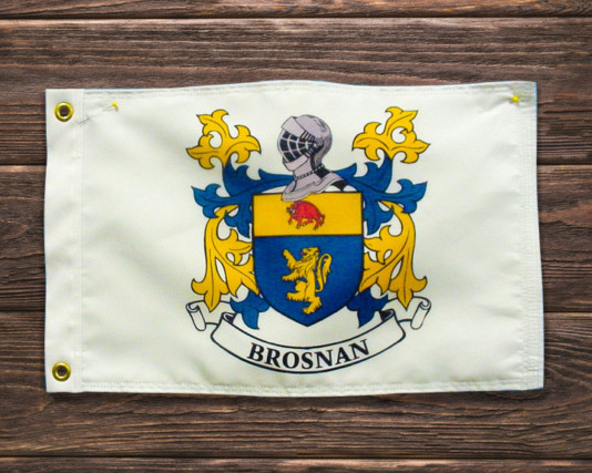 House Flags: Designing a Custom Ensign for Your Family