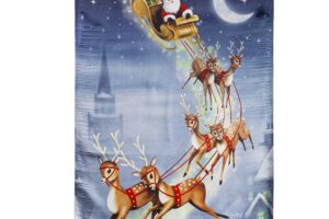 SANTA SLEIGH [LUSTRE]