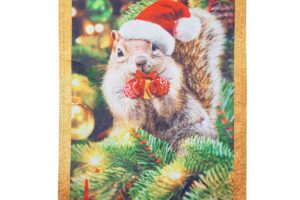 SANTA SQUIRREL [LUSTRE]