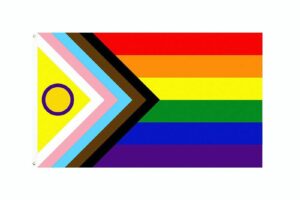 INTERSEX-INCLUSIVE PROGRESS PRIDE FLAG