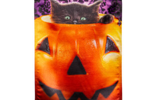 KITTEN IN A PUMPKIN BUCKET [LUSTRE HOUSE BANNER]