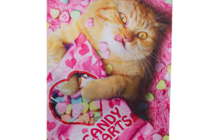 CAT WITH CANDY HEART [LUSTRE HOUSE BANNER]