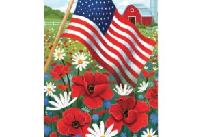 AMERICAN FIELD [SATIN FLAG]