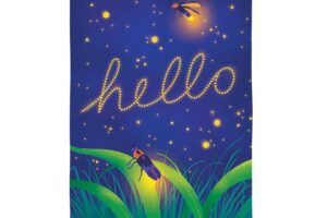 LIGHTNING BUG HELLO [SATIN HOUSE BANNER]