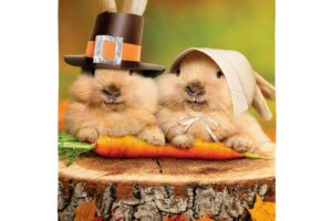 BUNNY PILGRIMS [SATIN GARDEN FLAG]