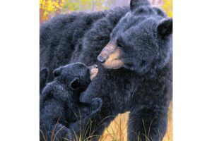 BEAR KISSES [SATIN HOUSE BANNER]