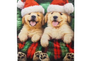 COZY GOLDIES [LUSTRE HOUSE FLAGS]