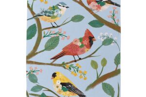 WHAT SHE SHED BIRDS [SATIN HOUSE FLAGS]