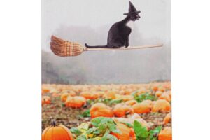 FLYING CAT [SATIN GARDEN FLAG]